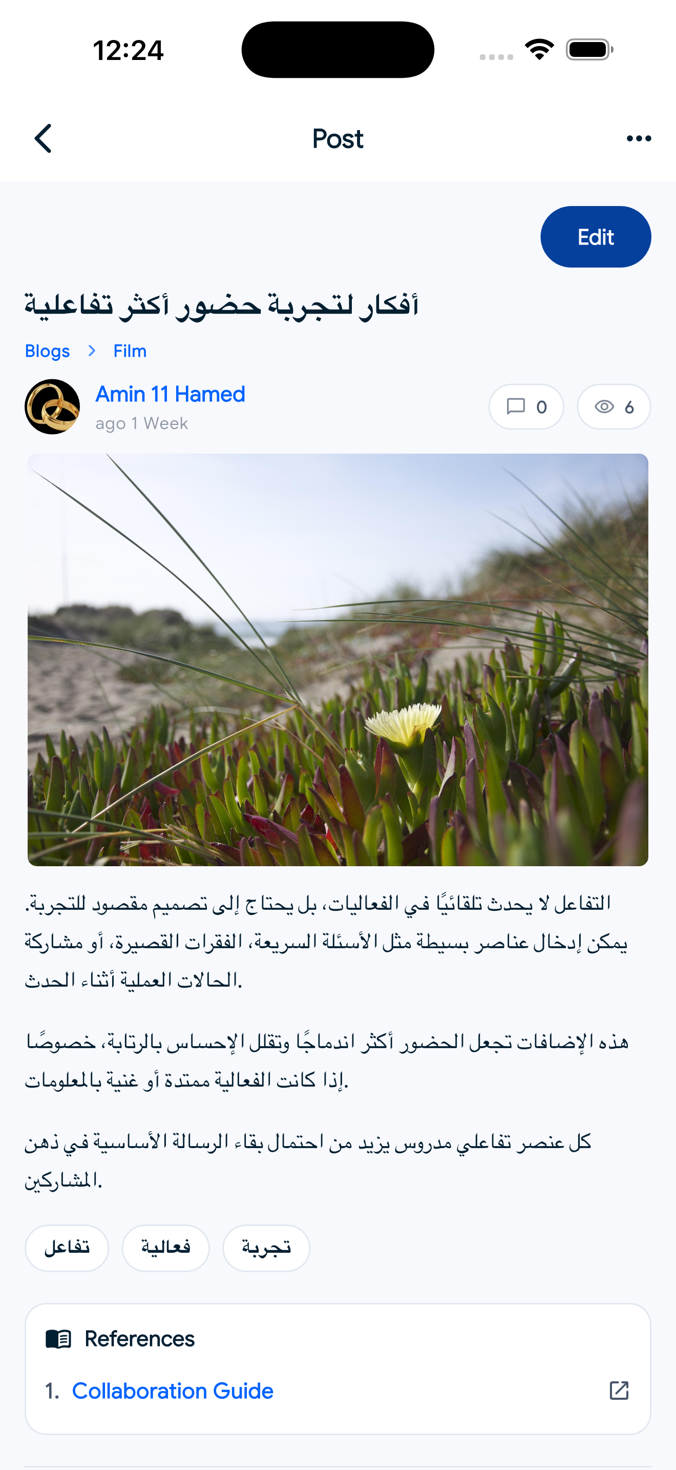 Sngine Timeline – Flutter Social Networking App (Android & iOS) mobile preview